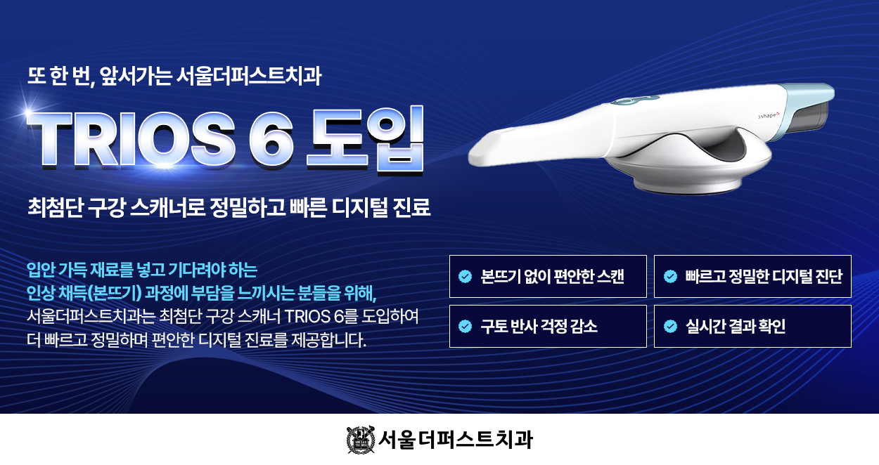 Ʈ������6 ����